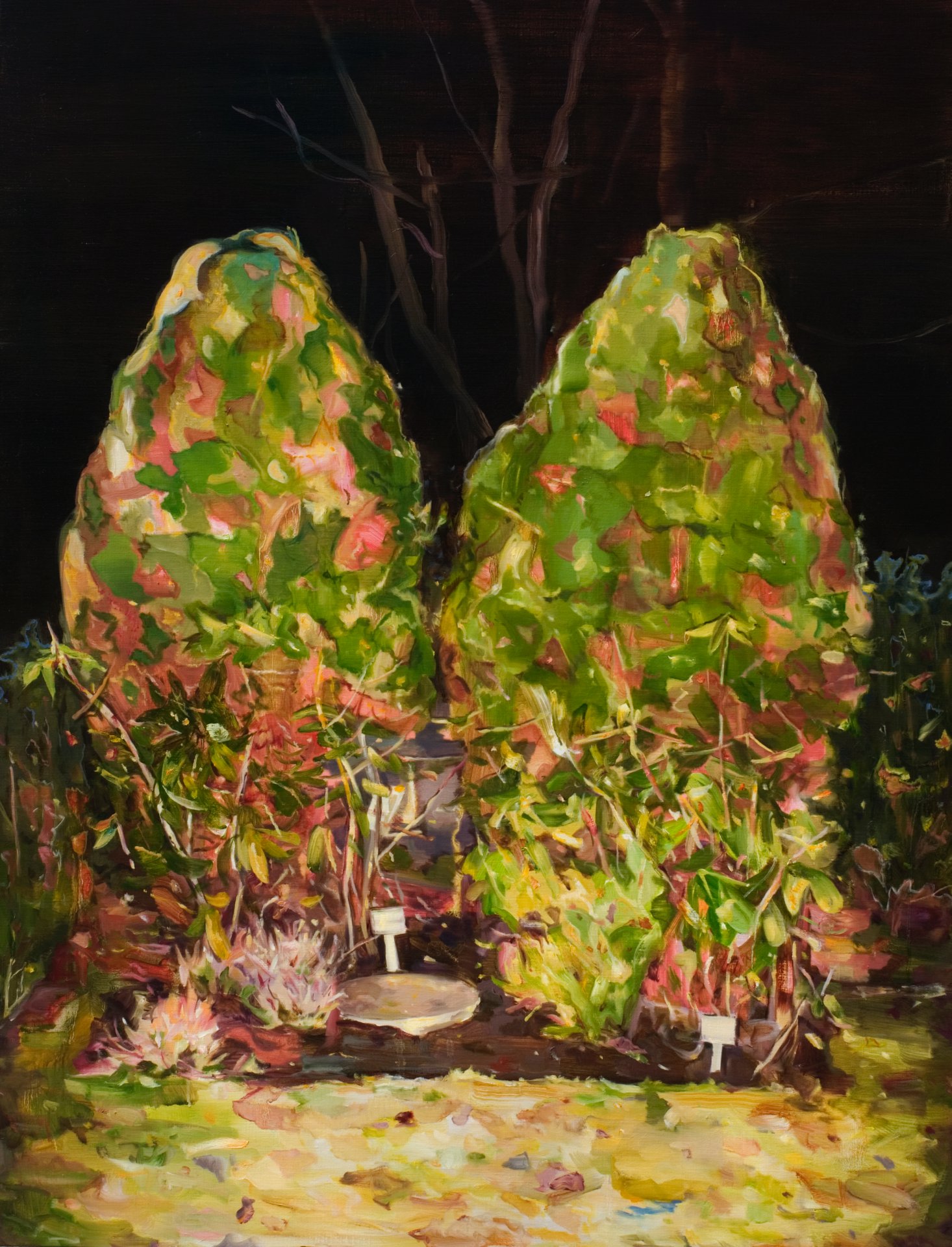 2 trees