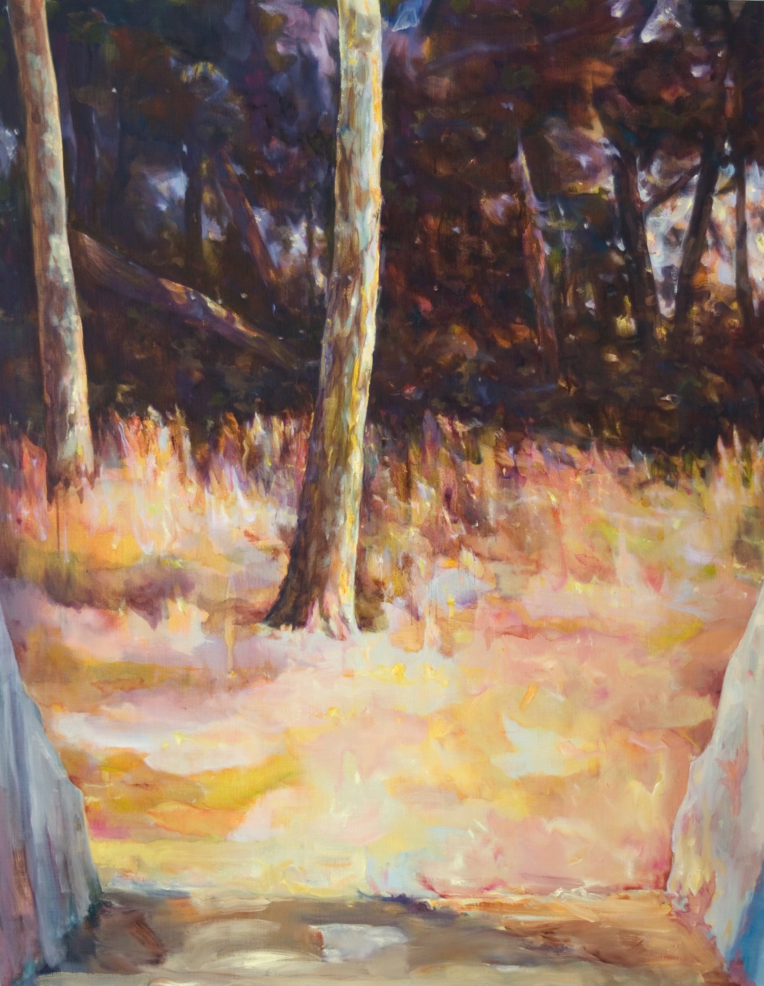 forest